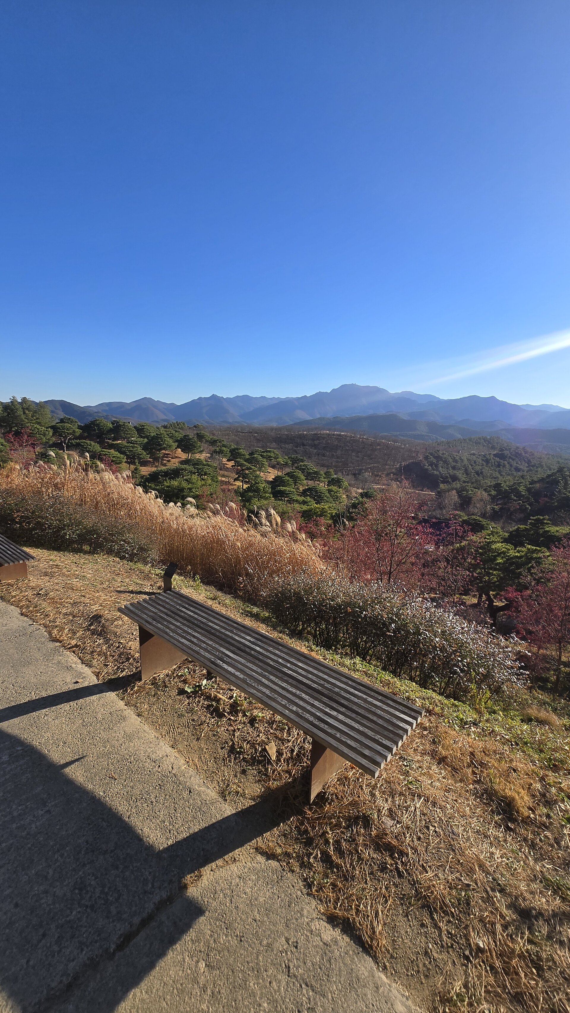 Sayuwon